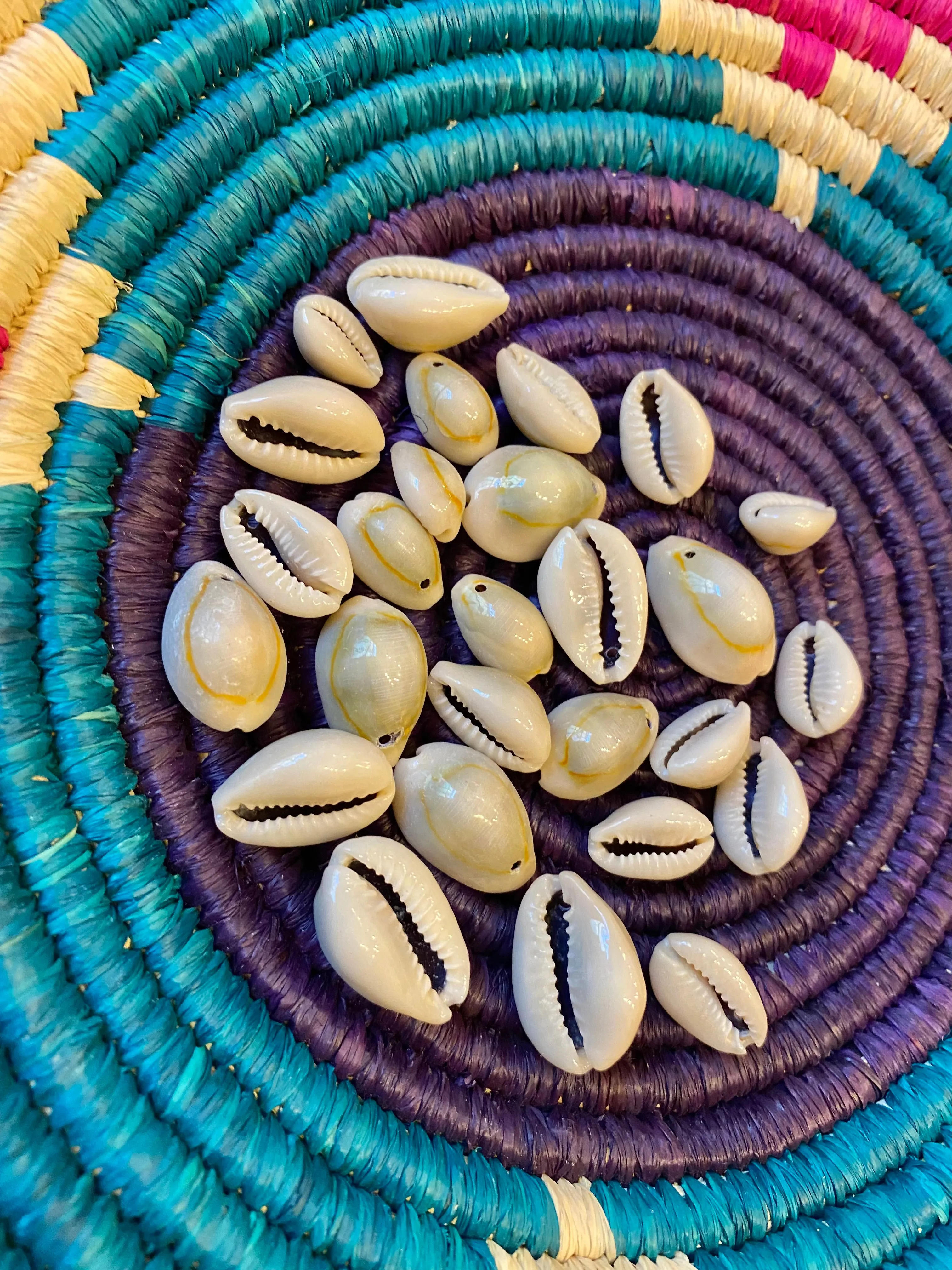 Drilled Natural Grey Cowrie with Orange Circle